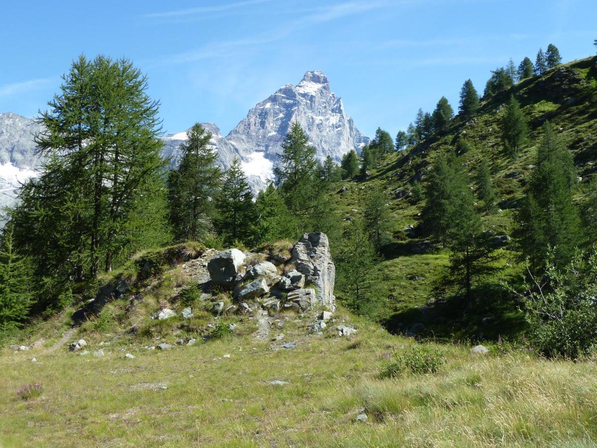 Apartmán Le Petit Refuge Cervinia Breuil-Cervinia Exteriér fotografie