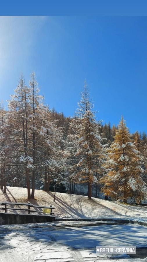 Apartmán Le Petit Refuge Cervinia Breuil-Cervinia Exteriér fotografie